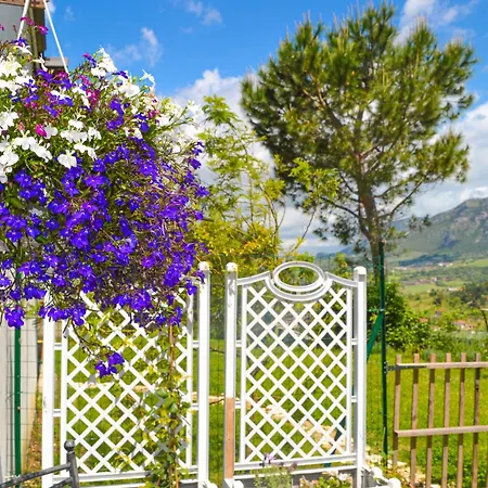 Rigoletto Cilento With Private Garden And Pool Apartment Eredita