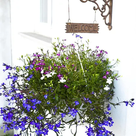 Rigoletto Cilento With Private Garden And Pool Apartment *
